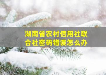 湖南省农村信用社联合社密码错误怎么办