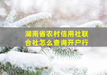 湖南省农村信用社联合社怎么查询开户行