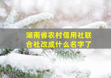 湖南省农村信用社联合社改成什么名字了