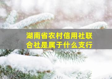 湖南省农村信用社联合社是属于什么支行