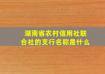 湖南省农村信用社联合社的支行名称是什么