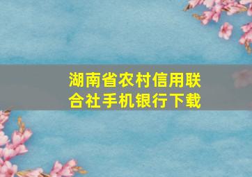 湖南省农村信用联合社手机银行下载