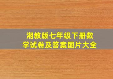 湘教版七年级下册数学试卷及答案图片大全