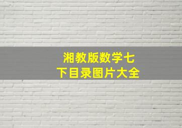 湘教版数学七下目录图片大全