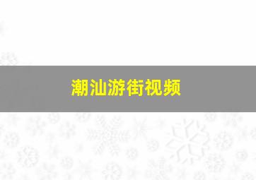 潮汕游街视频