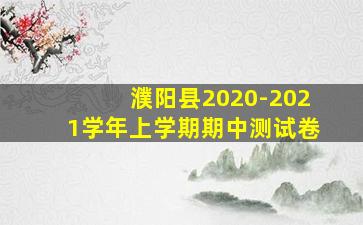 濮阳县2020-2021学年上学期期中测试卷