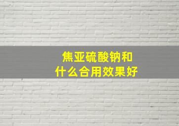 焦亚硫酸钠和什么合用效果好