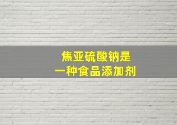 焦亚硫酸钠是一种食品添加剂