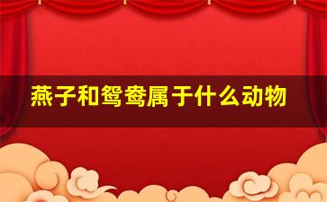 燕子和鸳鸯属于什么动物