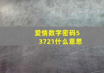 爱情数字密码53721什么意思