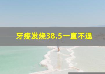 牙疼发烧38.5一直不退