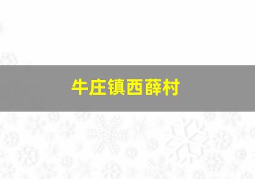 牛庄镇西薛村