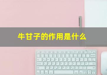 牛甘子的作用是什么