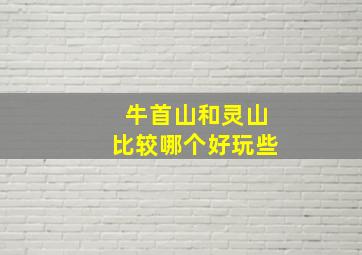 牛首山和灵山比较哪个好玩些