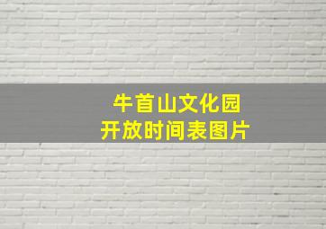 牛首山文化园开放时间表图片