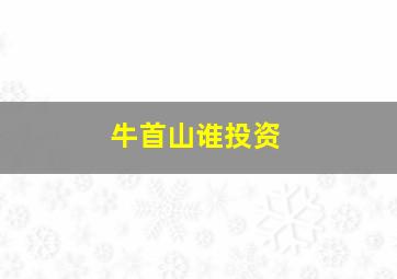 牛首山谁投资