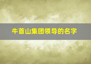 牛首山集团领导的名字