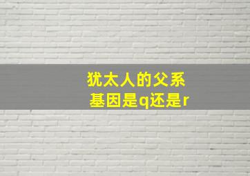 犹太人的父系基因是q还是r