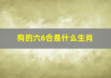 狗的六6合是什么生肖