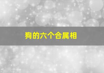 狗的六个合属相