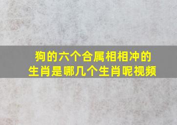 狗的六个合属相相冲的生肖是哪几个生肖呢视频