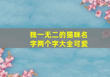 独一无二的猫咪名字两个字大全可爱