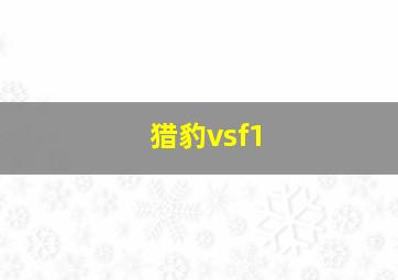 猎豹vsf1