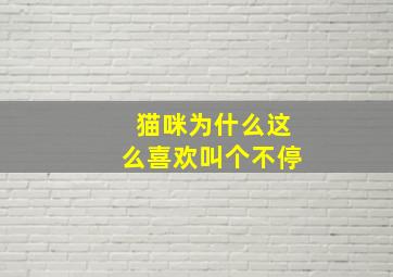 猫咪为什么这么喜欢叫个不停