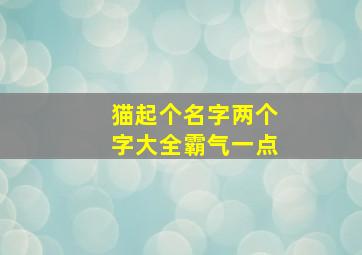 猫起个名字两个字大全霸气一点