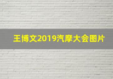 王博文2019汽摩大会图片