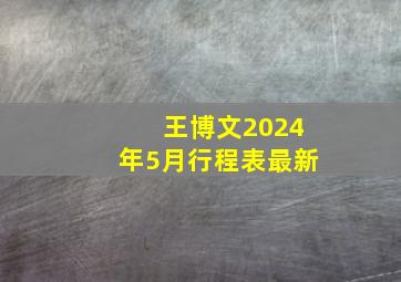 王博文2024年5月行程表最新