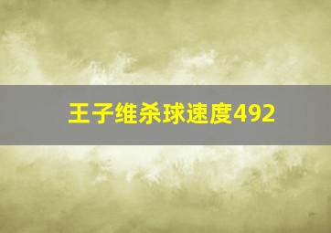 王子维杀球速度492