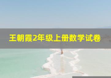 王朝霞2年级上册数学试卷