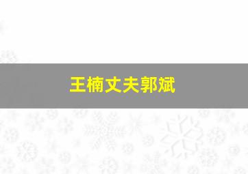 王楠丈夫郭斌