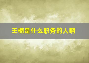 王楠是什么职务的人啊