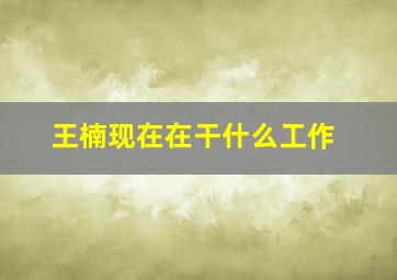 王楠现在在干什么工作