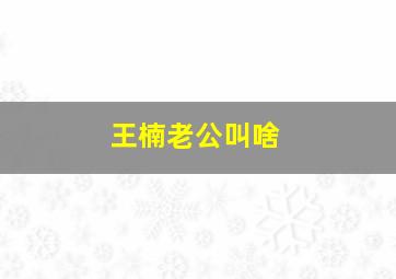 王楠老公叫啥