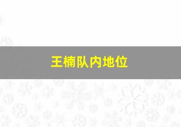 王楠队内地位