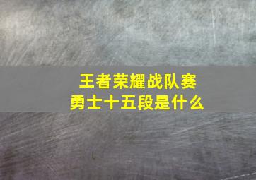 王者荣耀战队赛勇士十五段是什么