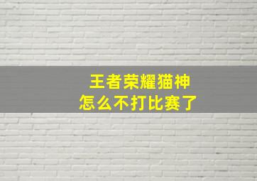 王者荣耀猫神怎么不打比赛了