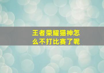 王者荣耀猫神怎么不打比赛了呢