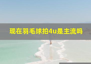 现在羽毛球拍4u是主流吗