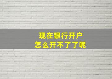 现在银行开户怎么开不了了呢