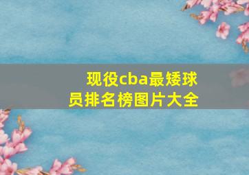 现役cba最矮球员排名榜图片大全