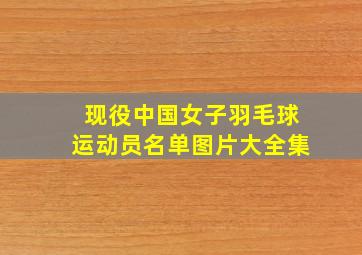 现役中国女子羽毛球运动员名单图片大全集