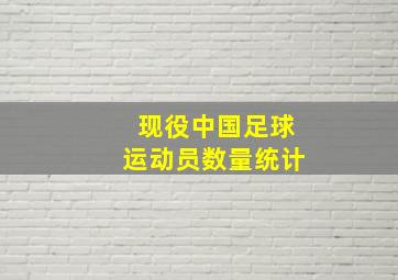 现役中国足球运动员数量统计