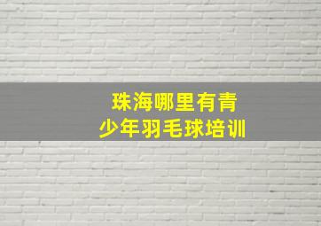 珠海哪里有青少年羽毛球培训