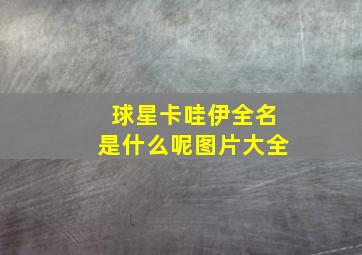 球星卡哇伊全名是什么呢图片大全