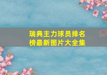 瑞典主力球员排名榜最新图片大全集