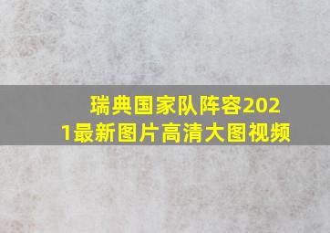 瑞典国家队阵容2021最新图片高清大图视频